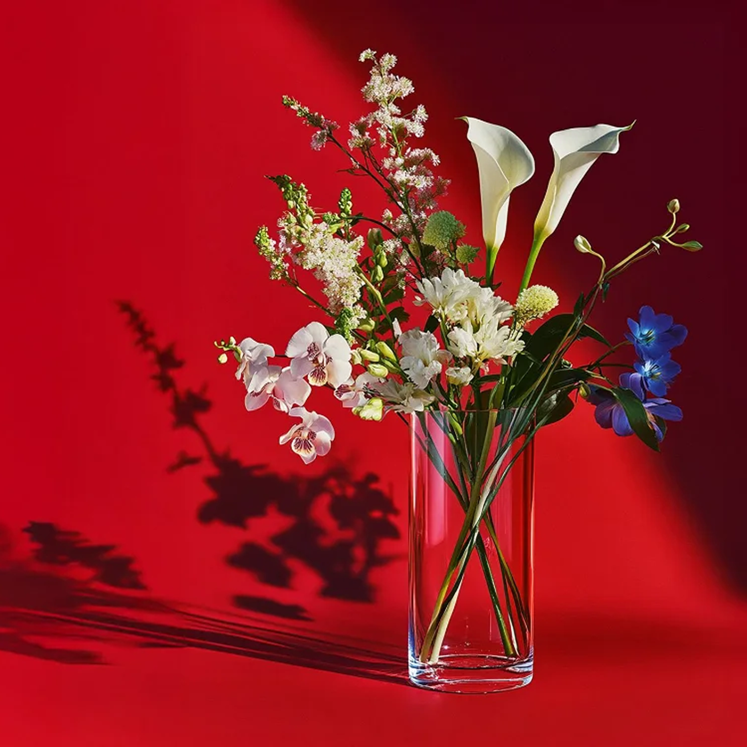 Цветомания