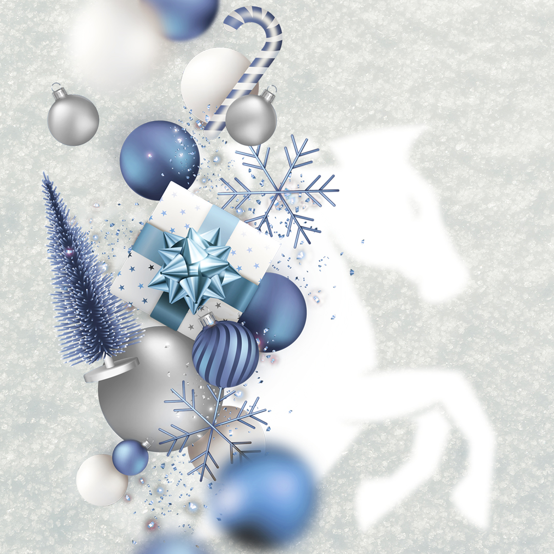 Ёлка подарков в магазине CHOUPETTE